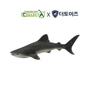 고래 상어