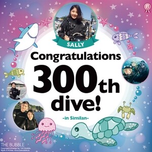100로그 기념 현수막(로그수 선택가능)  버블거북이_Bubble-Turtle